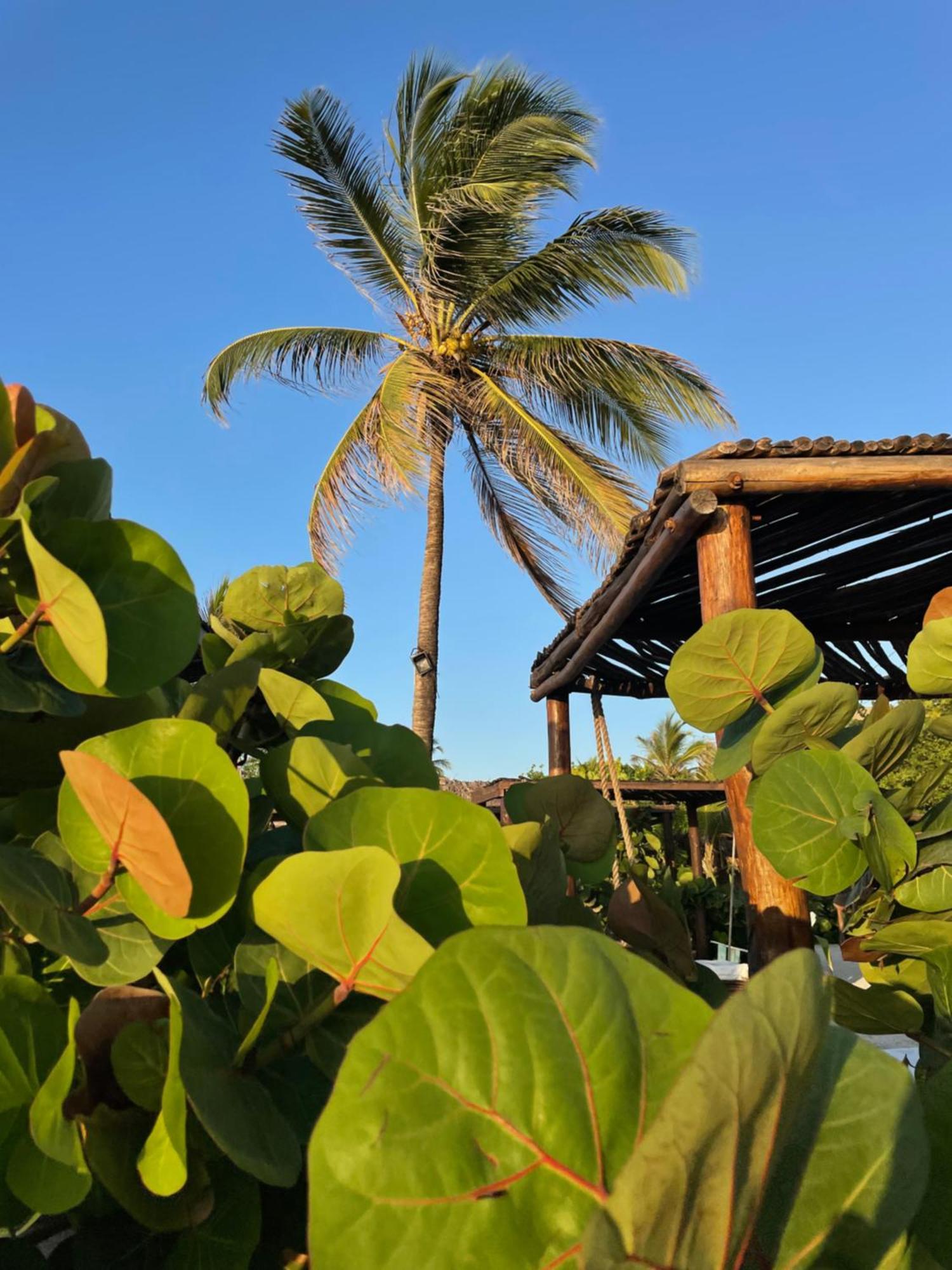 Namaste Beach Club&Hotel Playa de Punta Arena Exterior foto